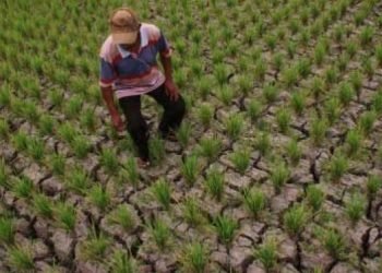 RI Terancam Gagal Hadapi Pasar Bebas ASEAN