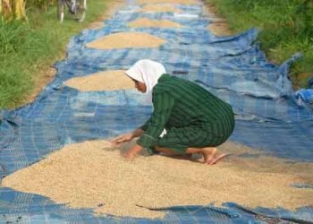 Pasar Bebas ASEAN, Bahaya buat Rakyat Kecil?