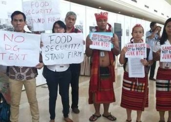 Letter from civil society regarding public food stockholding programs