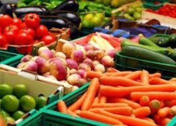 Impor Produk Pertanian Naik Lima Kali Lipat Mencapai USD 14,9 Miliar