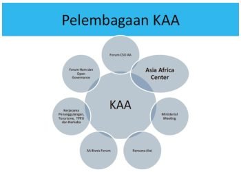 Pelembagaan Asia Afrika