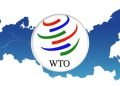 IGJ Monitoring Analysis Menuju KTM ke-10 WTO