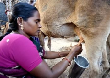 Opposition mounts against regional trade pact threatening human rights