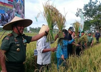 IGJ Desak Pemerintah Lindungi Petani Nasional dalan RCEP