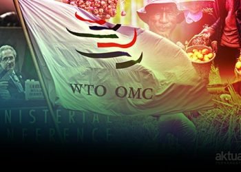 Indonesia Kalah dari WTO, Musibah Besar Bagi Nasib Petani Kecil