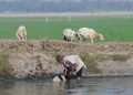 Perjanjian Perdagangan Bebas tidak Lindungi Petani