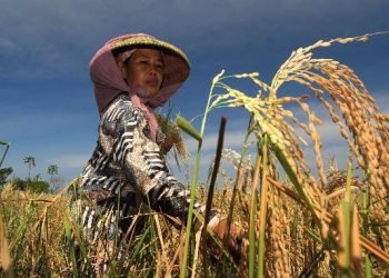 RI Diminta Cabut Komitmen ke WTO