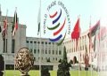Di KTM Ke-11 WTO, KMSI Inginkan Isu Subsidi Perikanan Jadi Mandat Doha