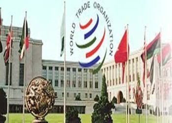 Di KTM Ke-11 WTO, KMSI Inginkan Isu Subsidi Perikanan Jadi Mandat Doha