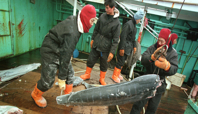 Ilustrasi perbudakan di kapal. (Foto: Istimewa)