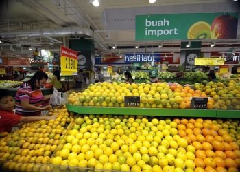 Ombudsman Awasi Revisi Aturan Pemerintah Terkait Rekomendasi WTO