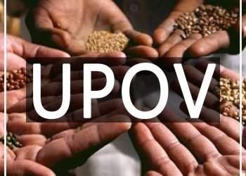 UPOV 1991 Dalam Konteks Perjanjian Perdagangan Bebas