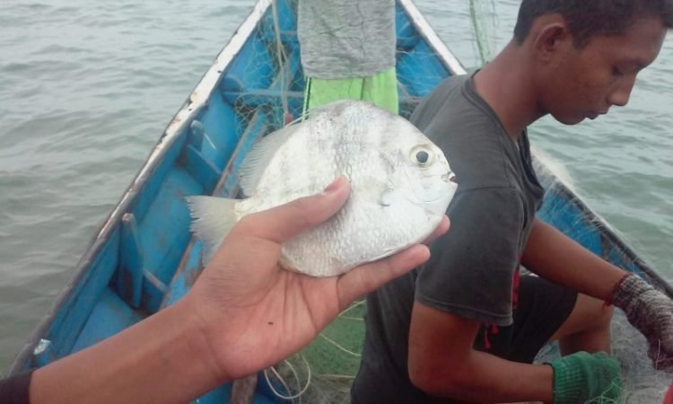 Aktivitas nelayan tradisional / Doc. KNTI