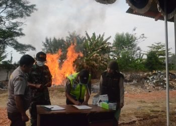 PERJANJIAN INDONESIA-EFTA ANCAM KEDAULATAN PETANI