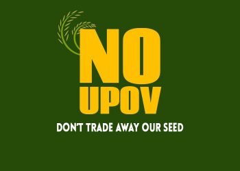 SURAT MASYARAKAT SIPIL INDONESIA MENGENAI RCEP DAN PERLINDUNGAN VARIETAS TANAMAN