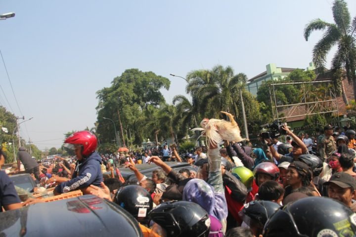 KOMPAS/HARIS FIRDAUS.
Warga berebut ayam yang dibagikan secara gratis oleh Asosiasi Peternak Ayam Yogyakarta dan Perhimpunan Insan Perunggasan Rakyat Indonesia, Rabu (26/6/2019), di dekat kompleks Balaikota Yogyakarta. Pembagian ayam secara gratis itu dilakukan sebagai bentuk protes terkait rendahnya harga ayam broiler hidup. Dalam kesempatan itu, ada sekitar 6.500 ekor ayam yang dibagikan di empat lokasi berbeda di Yogyakarta.