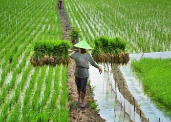 UU Pertanian Lindungi Korporasi