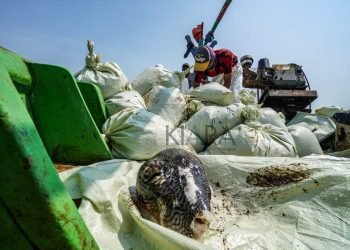 Nelayan Indonesia Menolak Rencana Pencabutan Subsidi Perikanan di WTO