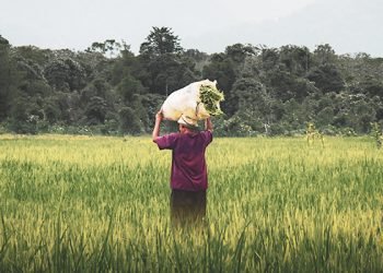 Surat Terbuka Masyarakat Sipil kepada DPR RI Perjanjian Kerjasama Ekonomi Komprehensif (CEPA) EFTA – Indonesia