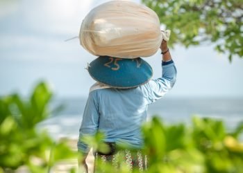 MENTRANSFORMASI SISTEM PANGAN BERORIENTASI KEDAULATAN PANGAN MELALUI GERAKAN RAKYAT