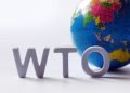 Civil Society Open Letter to the WTO Director General