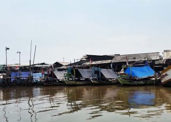 Call to Halt Fisheries Subsidies Negotiations in the Middle of the COVID 19 Crisis