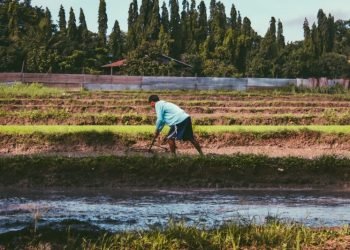 Photo by AR on Unsplash