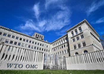 The Future of the WTO