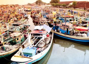 Fisherfolk Group Assesses Fisheries Subsidy Agreement Draft at WTO Harm Fisherfolks Lives and Fisheries Sector