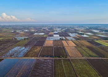 Free Market Regime Adoption, Omnibus Law Threatens National Peasant and Food Sovereignty