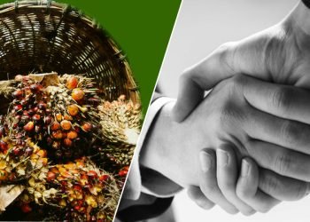 EU-Indonesia Trade Tension: “The Backlash on Palm Oil”