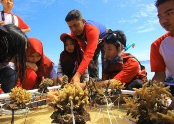 Bisakah Debt Swap Jadi Solusi Kurangi Utang Sembari Merawat Alam